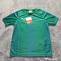 Tricou Puma Team Vertical Stripe Copii 116 (5-6 ani) Verde Nou cu Etichetă