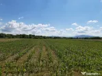 Teren agricol extravilan Podu Oltului la limita UAT Harman si UAT Prejmer