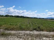 Teren agricol extravilan Podu Oltului la limita UAT Harman si UAT Prejmer 