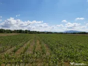 Teren agricol extravilan Podu Oltului la limita UAT Prejmer si UAT Harman 
