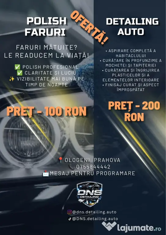 Polish faruri &Detailing