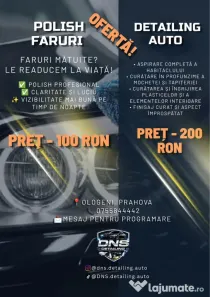 Polish faruri &Detailing