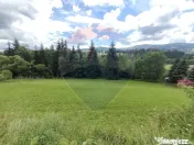 Teren intravilan in Vatra Dornei 