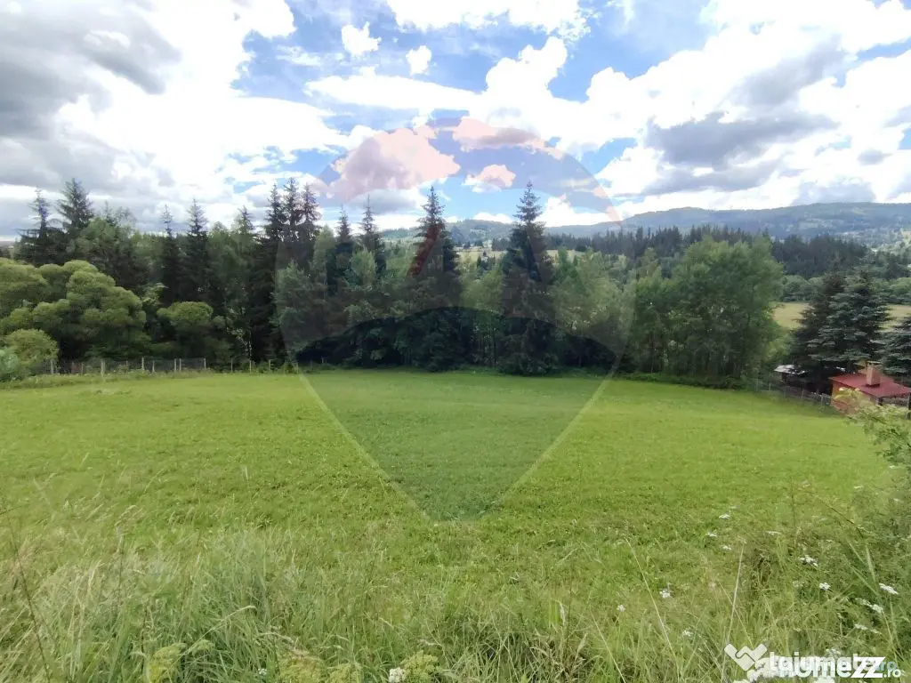 Teren intravilan in Vatra Dornei