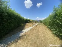 Teren la vânzare in Serbanești
