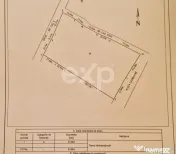 Teren intravilan 11.600 mp | Front 115 ml | Zona Europa –