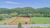 Teren de 4.000 mp cu deschidere la DN73A – Cheile Rasno... 