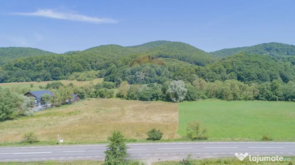 Teren de 4.000 mp cu deschidere la DN73A – Cheile Rasno...