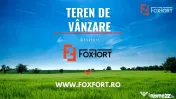 Teren extravilan cu potential investitional – Remetea Mare 