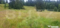 Teren 7.671 mp, (4.044 mp intravilan), zona Panaci, Vatra Do
