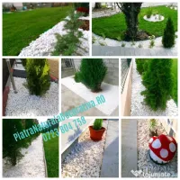 Spărtură de Marmură Albă ,Praf de Marmură,Piatra Decorativa