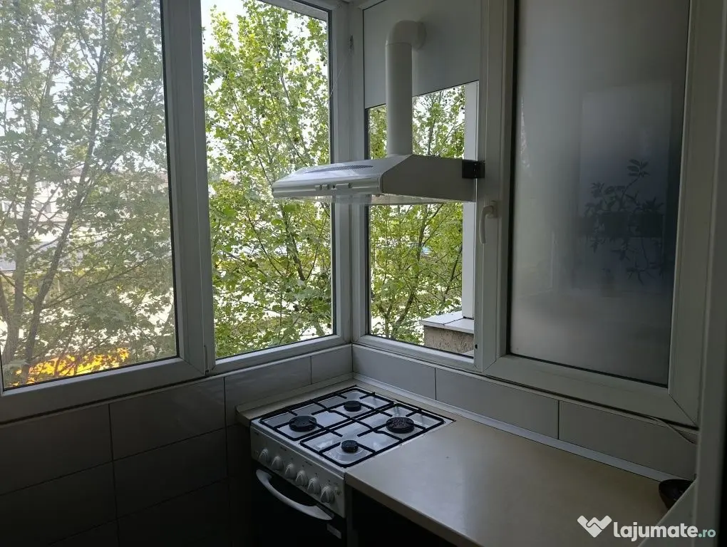 Brancoveanu luica sud park city