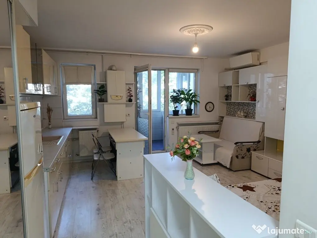 Brancoveanu luica sud park city