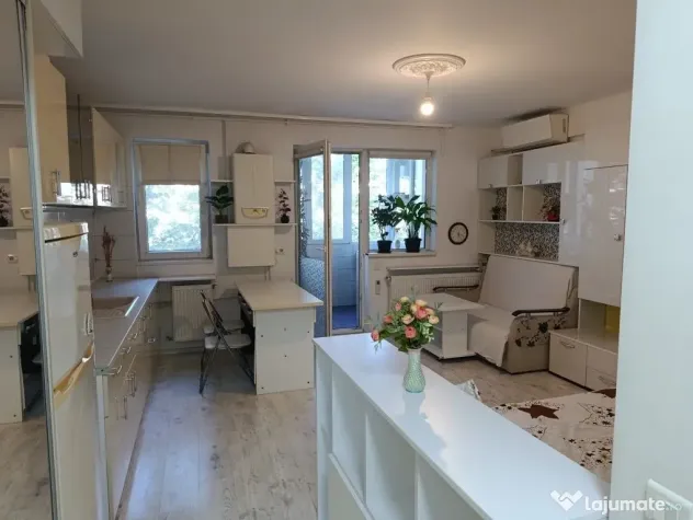 Brancoveanu luica sud park city