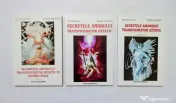 Nick Douglas & Penny Slinger - Secretele amorului transfigurator extatic în Tantra Yoga