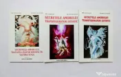 Nick Douglas & Penny Slinger - Secretele amorului transfigurator extatic în Tantra Yoga
