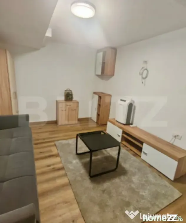 Apartament cochet ideal pentru locuit sau investiție, în C - Brasov (Brasov)