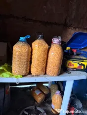 Porumb fermentat Nada pentru pescuit plantat