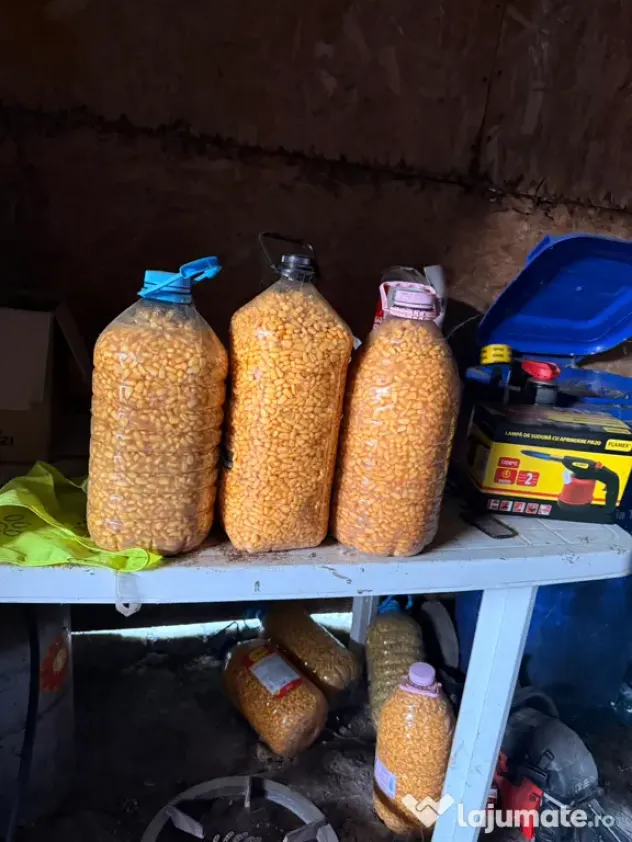 Porumb fermentat Nada pentru pescuit plantat