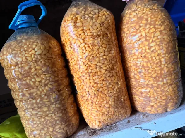 Porumb fermentat Nada pentru pescuit plantat