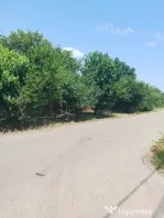 Vand casa Izvoarele