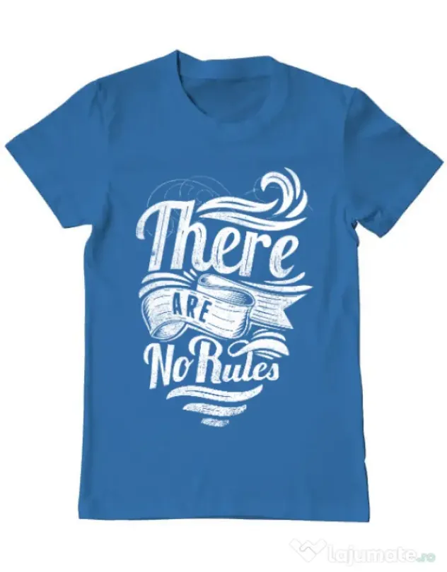 Tricou ADLER barbat There are no rules Albastru azuriu