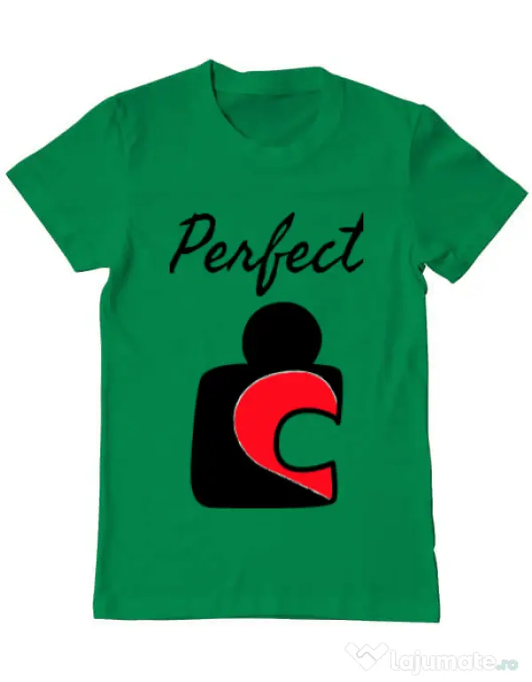 Tricou ADLER barbat Perfect match 1 Verde mediu