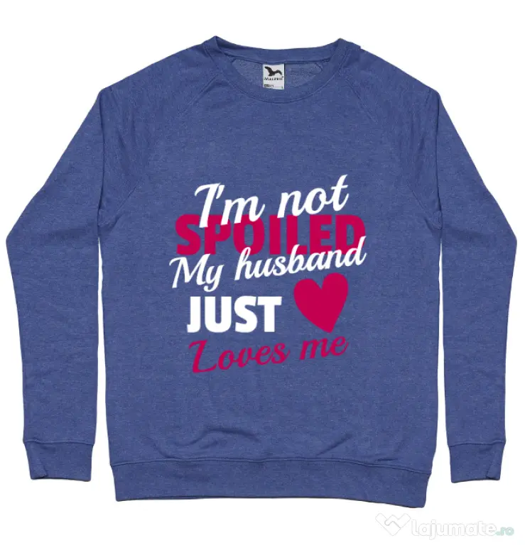 Bluza ADLER barbat I’m not spoiled Albastru melanj