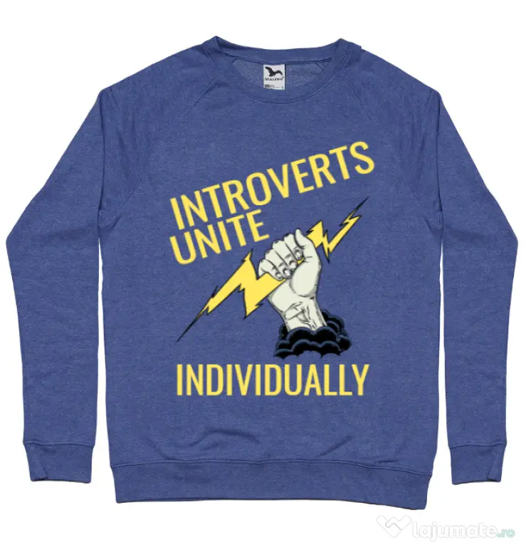 Bluza ADLER barbat Introverts unite Albastru melanj