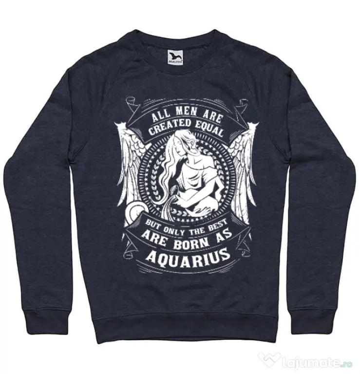 Bluza ADLER barbat The best men are born as Aquarius Denim inchis