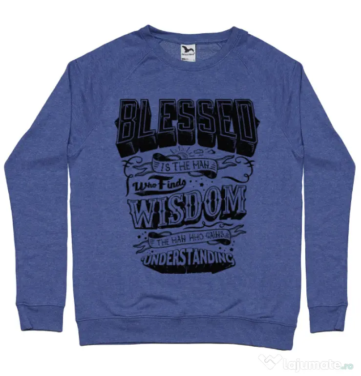 Bluza ADLER barbat Blessed Albastru melanj