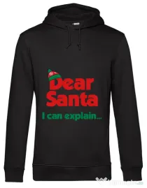Hoodie barbat cu gluga I can explain Negru