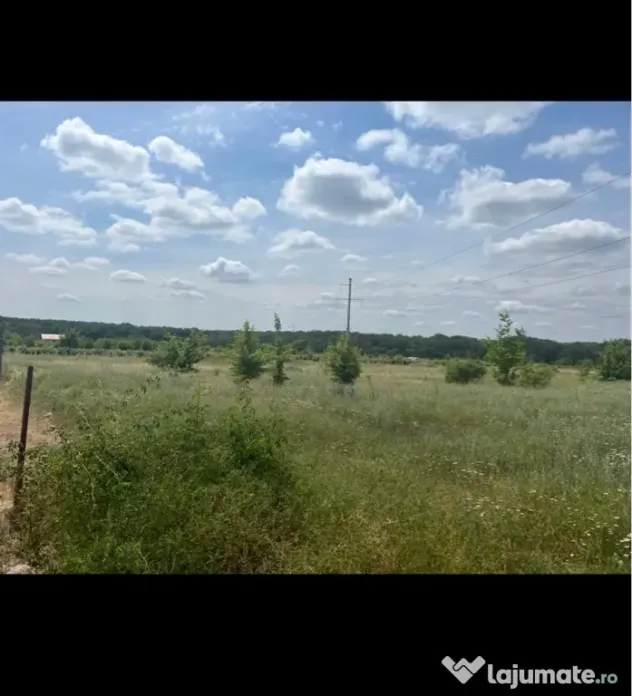 Vand teren intravilan Branesti 1036 mp direct proprietar