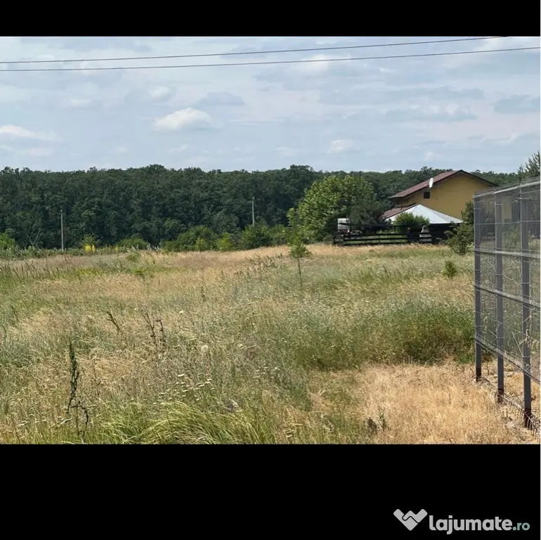 Vand teren intravilan Branesti 1036 mp direct proprietar