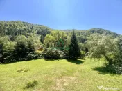 Proprietate deosebita de vanzare – Voinesița, Comuna V... 