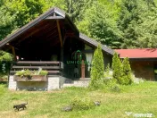 Proprietate deosebita de vanzare – Voinesița, Comuna V... 