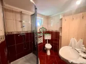 Proprietate deosebita de vanzare – Voinesița, Comuna V... 