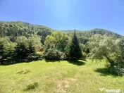 Proprietate deosebita de vanzare – Voinesița, Comuna V... 