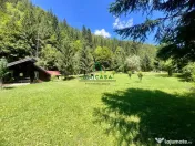 Proprietate deosebita de vanzare – Voinesița, Comuna V... 