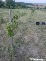 Casa cu etaj in sat Poiana-Braesti 
