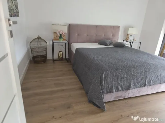 Inchiriez casa cu 5 camere in Subcetate ID:45401
