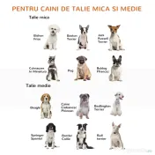 PawHut Poartă de Siguranță Pliabilă pentru Câini și Animale Mici, 3 Panouri MDF, 155x76 cm, Alb 