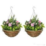 Outsunny Set 2 Plante Lisianthus – Ghiveci Rachita, Decorative pentru Agatat