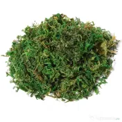 Arbore Artificial de Banan Outsunny, Planta Artificiala, bananier artificial | Aosom Romania