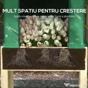 Outsunny Ghiveci Înălțat din Lemn cu Sera PE și Căptușeală, Pat de Gradină pentru Legume, Flori, Ierburi, 86x60x165cm | Aosom Romania