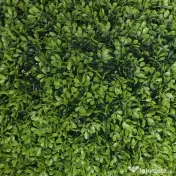 HOMCOM Set de 2 Plante Artificiale din Buxus în PE, Ø40 cm, pentru Interior și Exterior, Verde