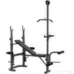SPORTNOW Bancă Multifuncțională Reglabilă pentru Antrenamente Acasă, Negru