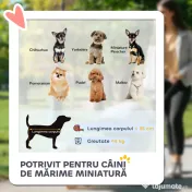 PawHut Cărucior pentru Animale de Companie 3 în 1 cu 4 Roți și Geantă de Transport Detașabilă, 76x50x102 cm, Gri | Aosom Romania 