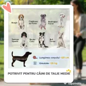 PawHut Cărucior Pliabil pentru Câini de Talie Mare cu Roți Detașabile, Pernă și Lese de Siguranță, 124x67x100 cm, Negru | Aosom Romania 
