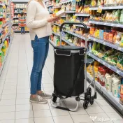HOMCOM Cărucior de Cumpărături cu Geantă Impermeabilă de 40L, 46x59.5x97 cm, Negru și Argintiu | Aosom Romania